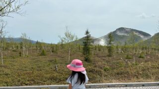 硫黄山麓のイソツツジ群落